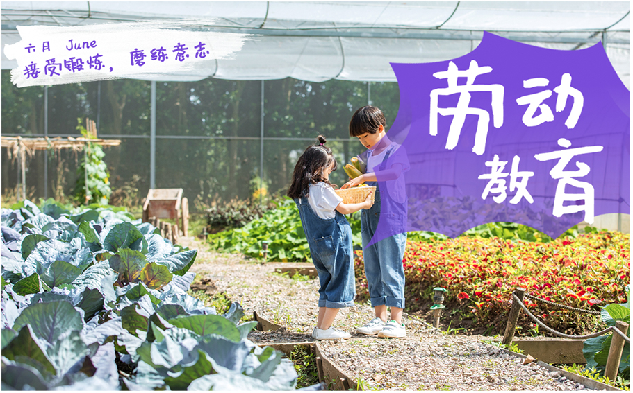 地尽其利，物尽其用，人尽其职——中小学劳动教育实践基地建设
